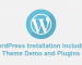 WordPress Installation Including Theme Demo and Plugins