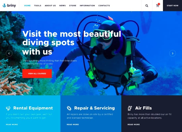 Briny Scuba Diving School & Water Sports WordPress Theme