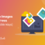 How to Optimize Images in WordPress Site 1 65x65