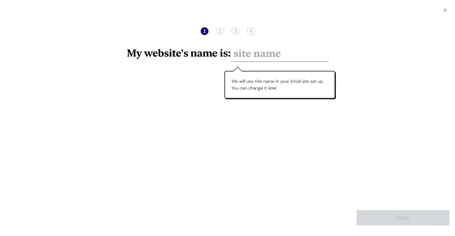 enter-website-name