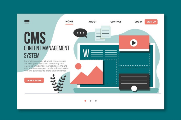 CMS Development