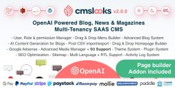 CMSLooks SAAS - OpenAI-Powered Multi-Tenancy SAAS CMS for Blogs, News & Magazines